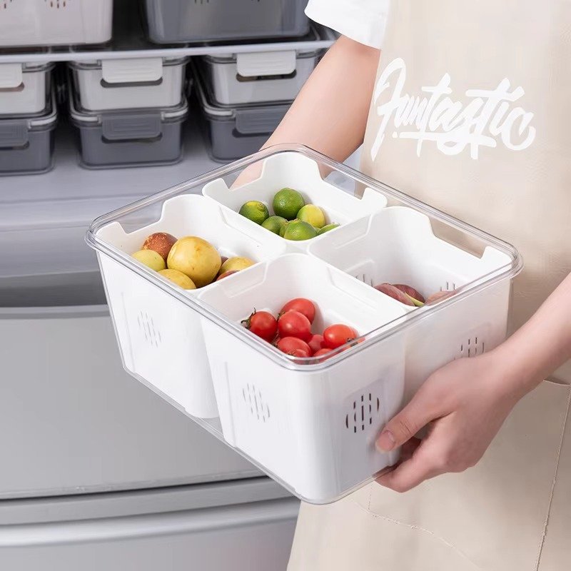 fresh storage 4 portion box fresh storage 4 portion box