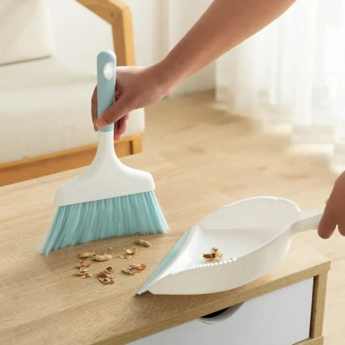 smartsweep broom & pan kit by limon