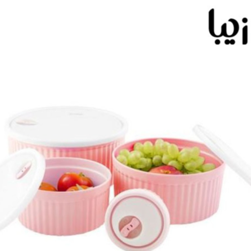 Ziba Sazan 4-Piece Plastic Food Storage Bowl Set with Airtight Lids – Made in Iran