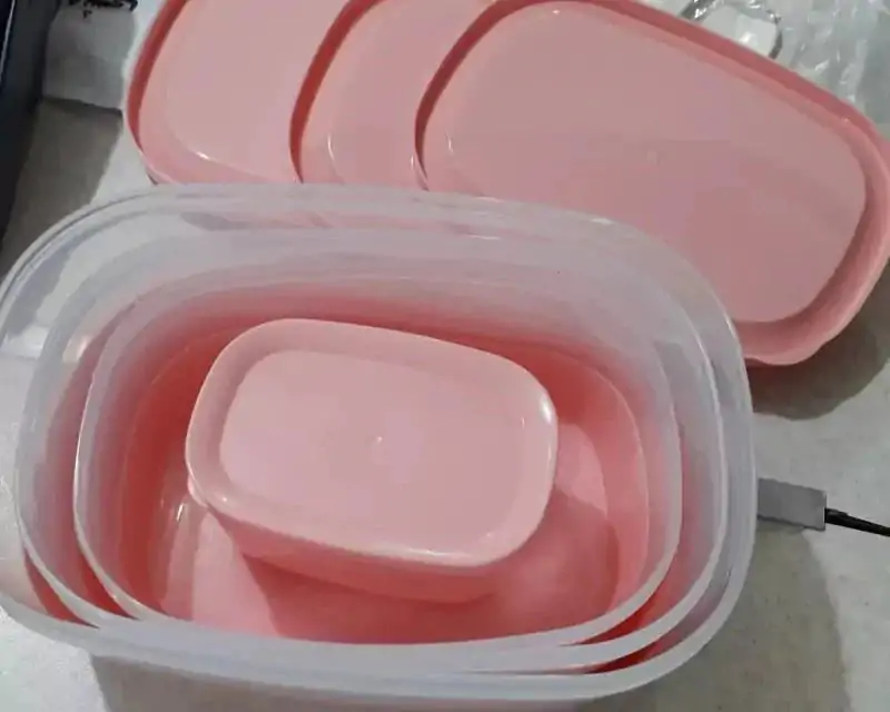 Ashkan Oval Plastic Food Container with Lid 4-Pcs - Image 6