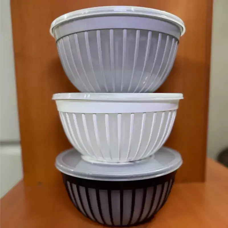 Duman Dorna Bowl Set with Lid 4-Pcs - Image 9