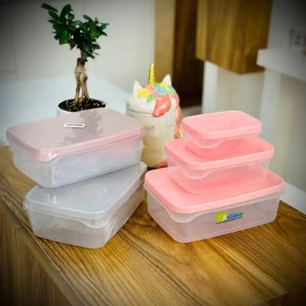 Ashkan Food Container Set 3-Pcs (Rectangle) - Image 3